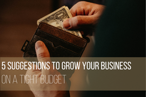 5 Suggestions to Grow Your Business on a Tight Budget with an ERP System